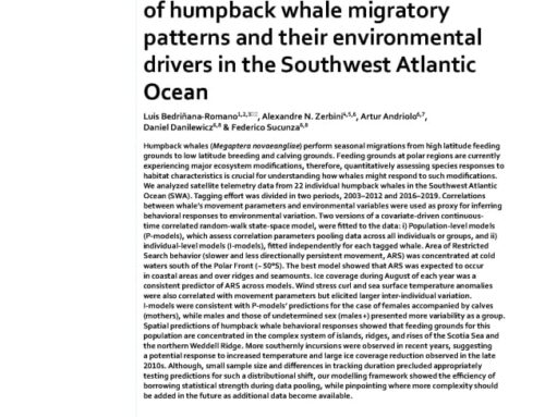 Individual and joint estimation of humpback whale migratory patterns and their environmental drivers in the Southwest Atlantic Ocean