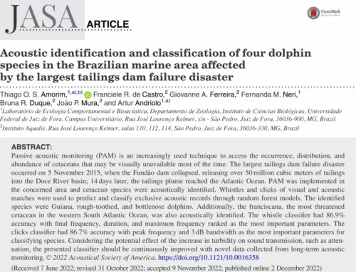 Acoustic identification and classification of four dolphin species in the Brazilian marine area affected by the largest tailings dam failure disaster