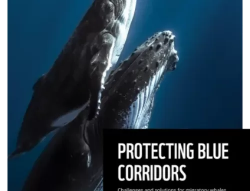 Protecting Blue Corridors