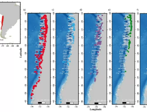 Abundance and distribution patterns of cetaceans in Chile