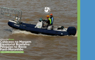 Pesquisa sobre baleias e golfinhos na Bacia Pará-Maranhão: como a ciência ajuda a entender e proteger a biodiversidade marinha?